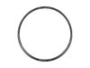 Bontrager Rim Bontrager Paradigm Elite 25 Disc 700C 24H Blac